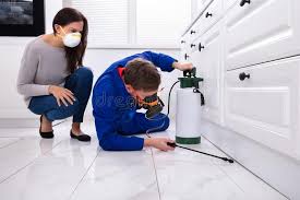 Best Real Estate Pest Inspections  in Texanna, OK